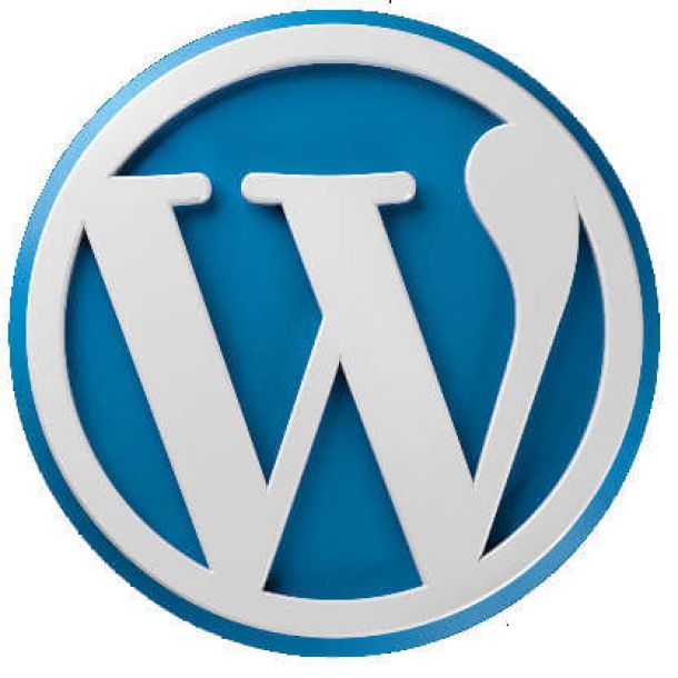 WordPress Logo 610x610px